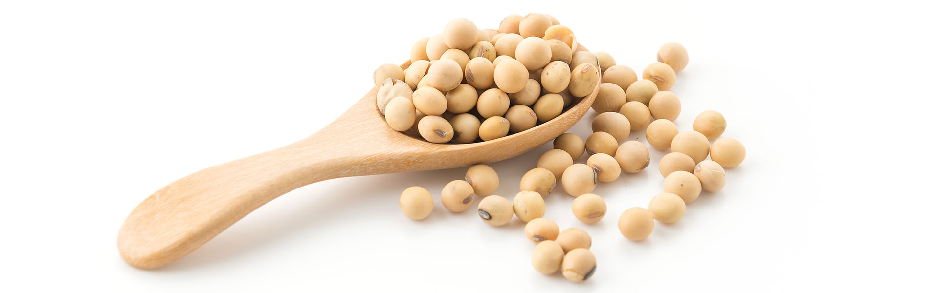 Proteínas Isolada de Soja